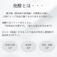 画像1313
