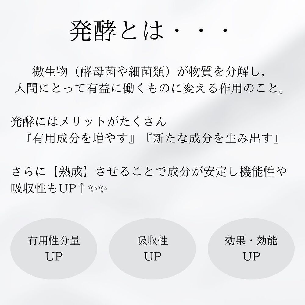 画像1313